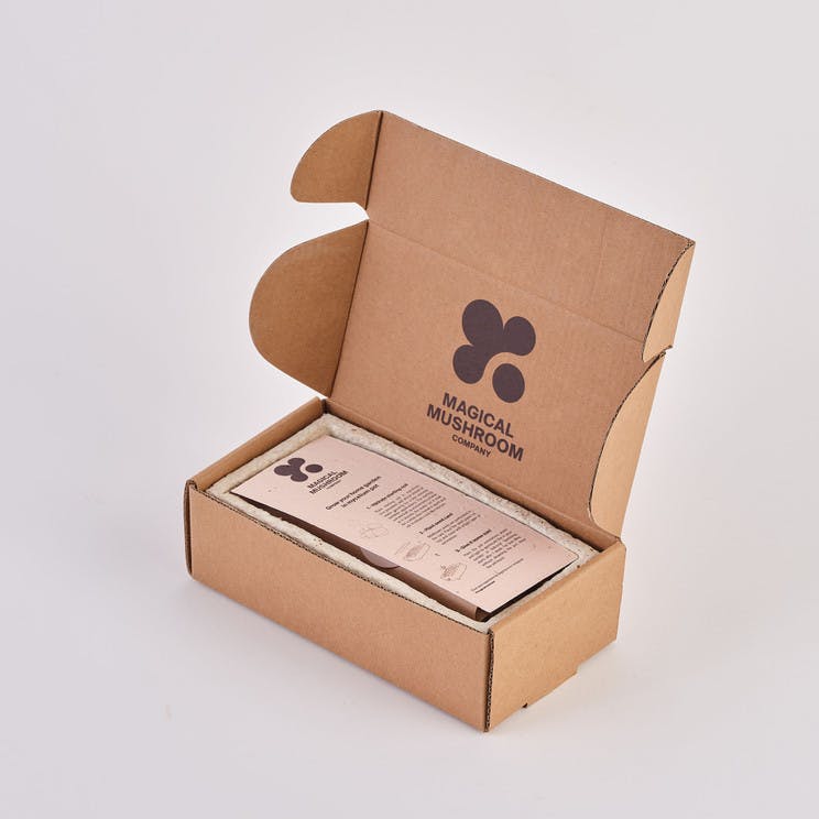 image of sample box in cardboard packaging